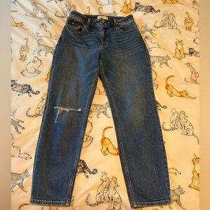 Abercrombie & Fitch The Mom High Rise Straight-Leg Jeans with Knee Distress